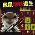 鼠王暗区逃生游戏官方版