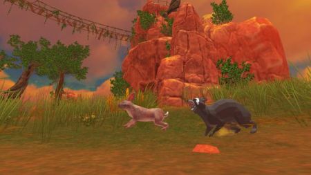 浣熊模拟(Raccoon Sim)安卓官方版图1