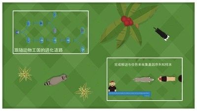 动物进化论手机免费版图2