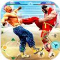 新街霸终极功夫(New Street Fighter - Ultimate Ku)游戏绿色版