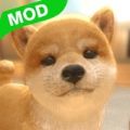和我的狗在一起(withMyDOG)