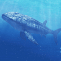 真正的利兹鱼(Leedsichthys Simulator)