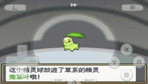 口袋妖怪心金魂银通用版