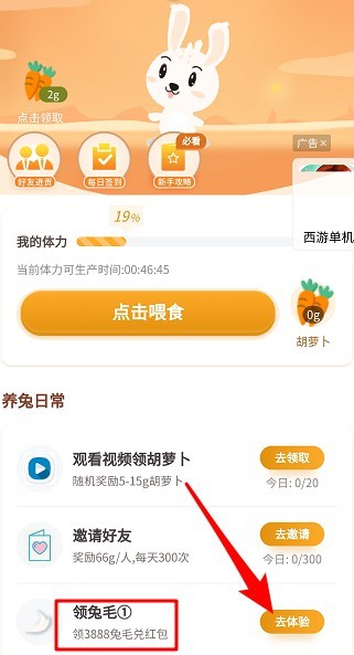 口袋养兔(3)