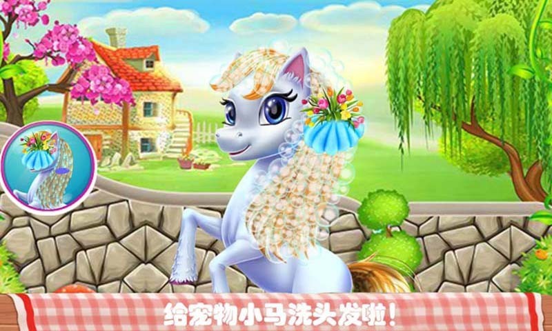宠物化妆世界(2)