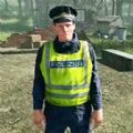 疯狂巡警模拟正版