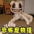 猫猫大冒险通用版