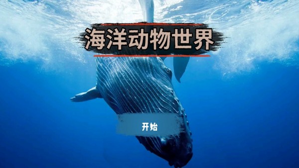 海洋动物世界游戏无广告版图3