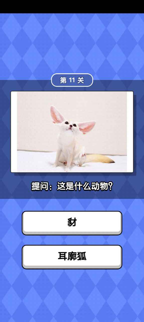 动物滑滑乐手机最新版图1