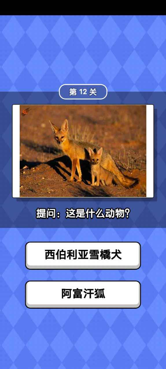 动物滑滑乐手机最新版图2