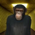 Gmod躲猫猫追逐通用版