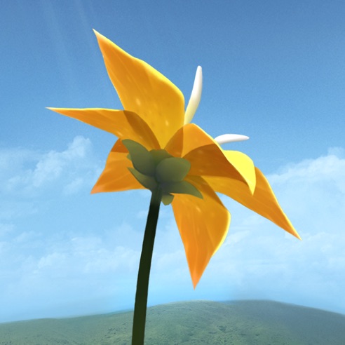 花（Flower）