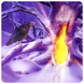 过去的秘密(Mysteries of the Past SoD CE)游戏无广告版