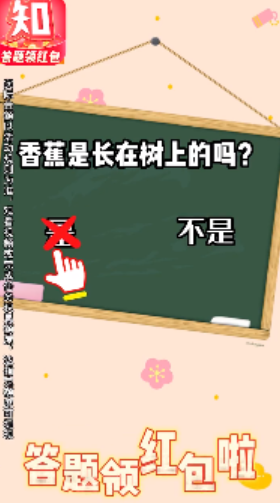 生活我最懂游戏纯净版