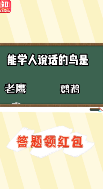 生活我最懂游戏纯净版