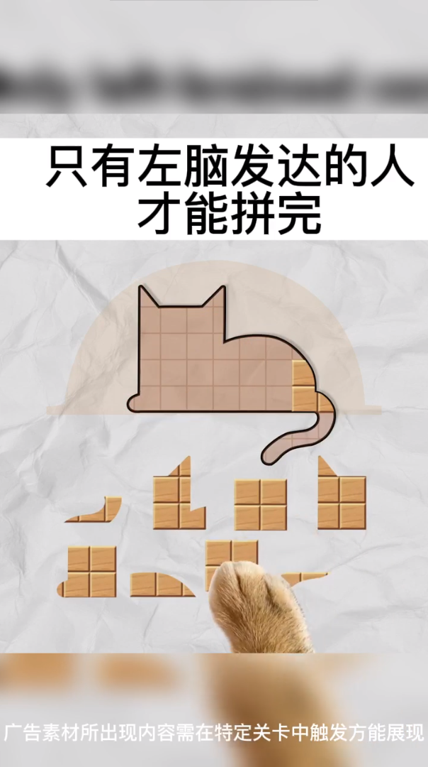 今晚来拼板安卓直装版图1