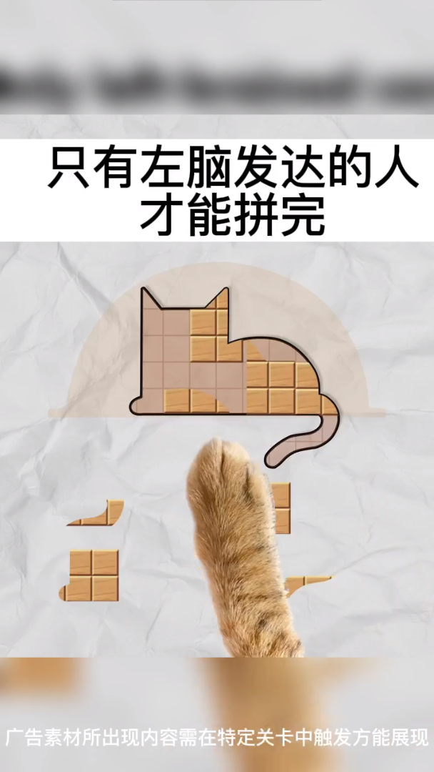 今晚来拼板安卓直装版图2