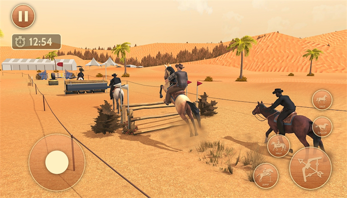 野马奔腾模拟驾驶(Wild Horse Games Horse Sim 3D)无广告版