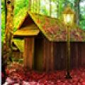 神秘森林之家逃生(Mystery Forest House Escape)手游直装版