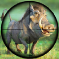 猎猪射击(Pig Hunting Shooting Game)免费原版