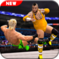 Ninja Kungfu(Men Street Wrestling Fight King)手游版
