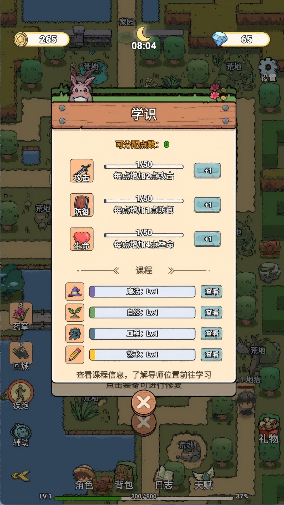 王者骑士家园(2)