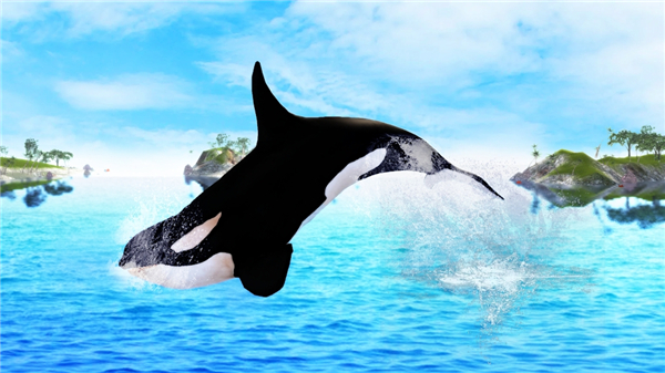 虎鲸模拟器(The Killer Whale)通用版(1)