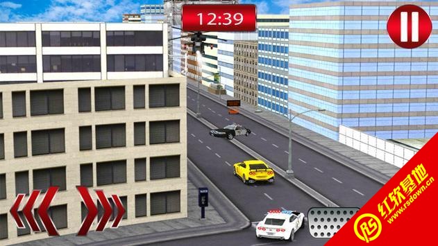 真正的警察追捕黑帮(Real Police Chase Gangster: Cops)无广告版