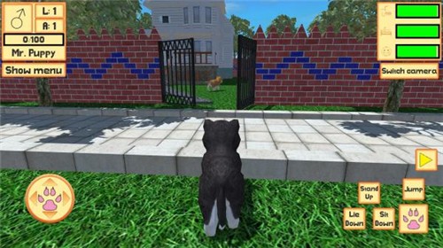 可爱的口袋小狗3D(Cute Pocket Puppy 3D - Part 2)游戏安装包