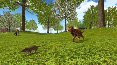 猫咪生存探险(2)