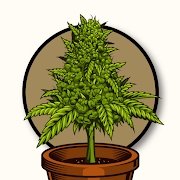 农作物农场(Cannabis Farm)手机正版