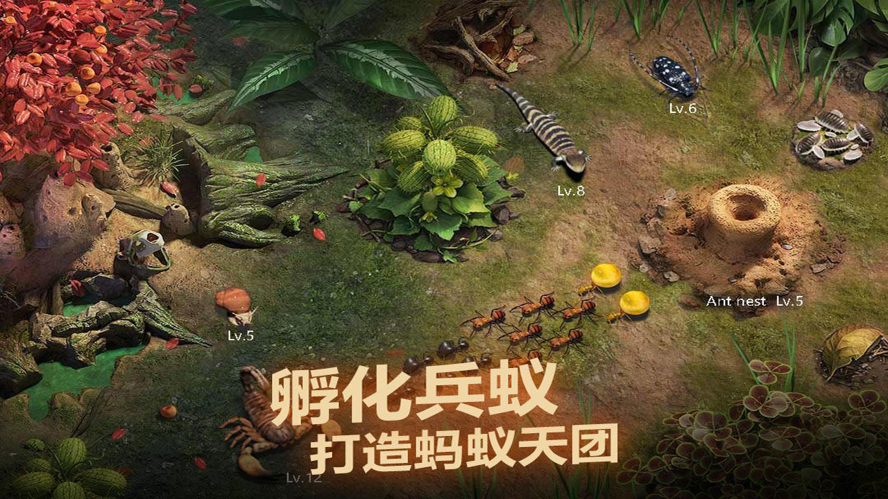 小小蚁国游戏图3