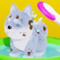 宠物改造(Pet Makeover)