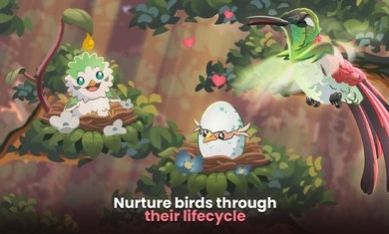 鸟类世界(Bird kind)最新免费版(3)