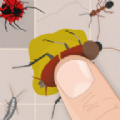 昆虫粉碎手(Insects Smasher)免费原版