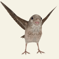 救救那小鸟安卓免费版