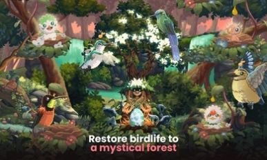 鸟类世界(Bird kind)最新免费版(2)