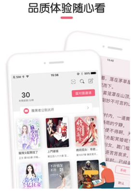石榴小说原版