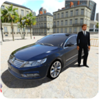 帕萨特碰撞模拟器(Passat Park Simulator 3D)