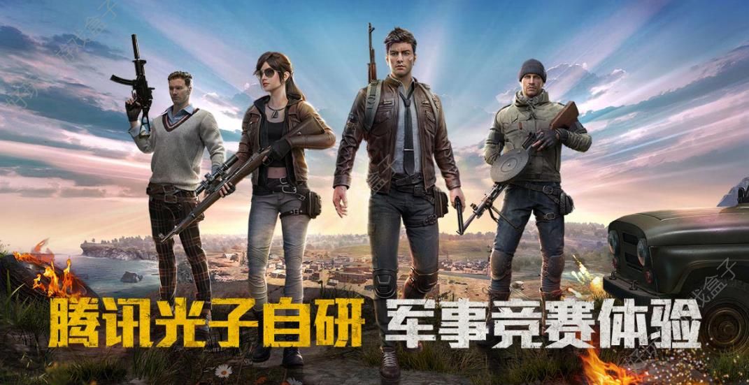 和平精英轻量版(3)