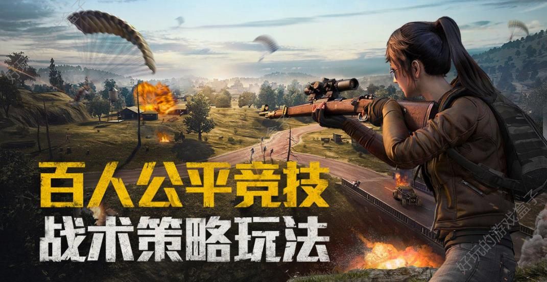 和平精英轻量版(1)