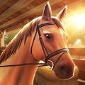 兴奋的跳马(Equestriad)