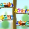 鸟类分色大师(Bird Sort - Color Puzzle)