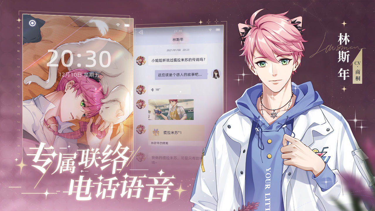 猫之宿约者直装游戏版