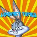 鲁尼短跑(LooneyDash)安卓免费版