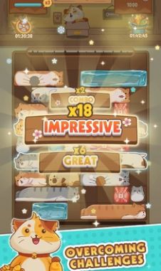 猫猫安全滑动拼图(Cats Safe: Sliding Puzzle)手游直装版