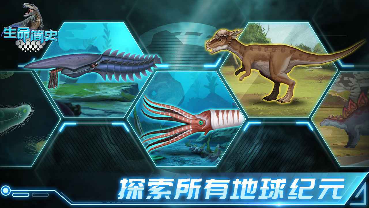 生命简史无敌版