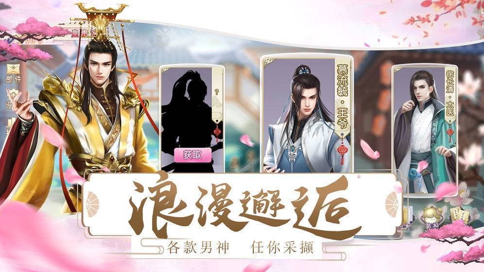 宫妃传安卓版(3)