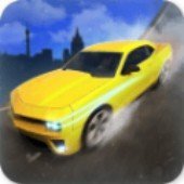 科目二场地模拟游戏无广告版V0.5