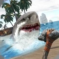 鲨鱼大冒险无广告游戏纯净版 V1.6